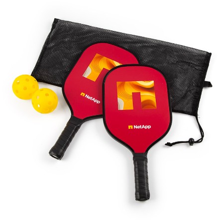 Image of Smasher Pickleball Set