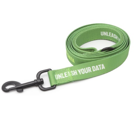 Image of Pet Leash, Green