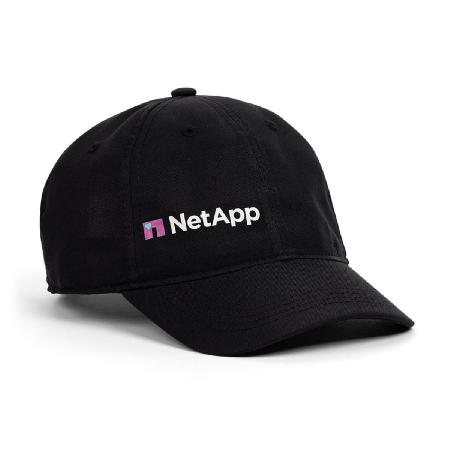Image of NetApp Cares Hat